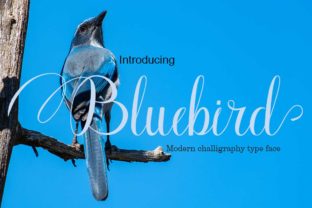 Bluebird Font: A Romantic Script for Digital Design