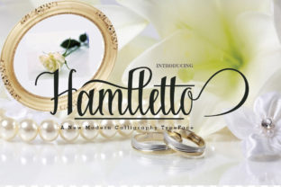 Hamlletto: An Elegant Script Font for Web Design