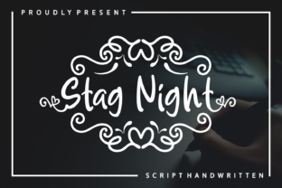 Stag Night: A Romantic Handwritten Font for Campaigns